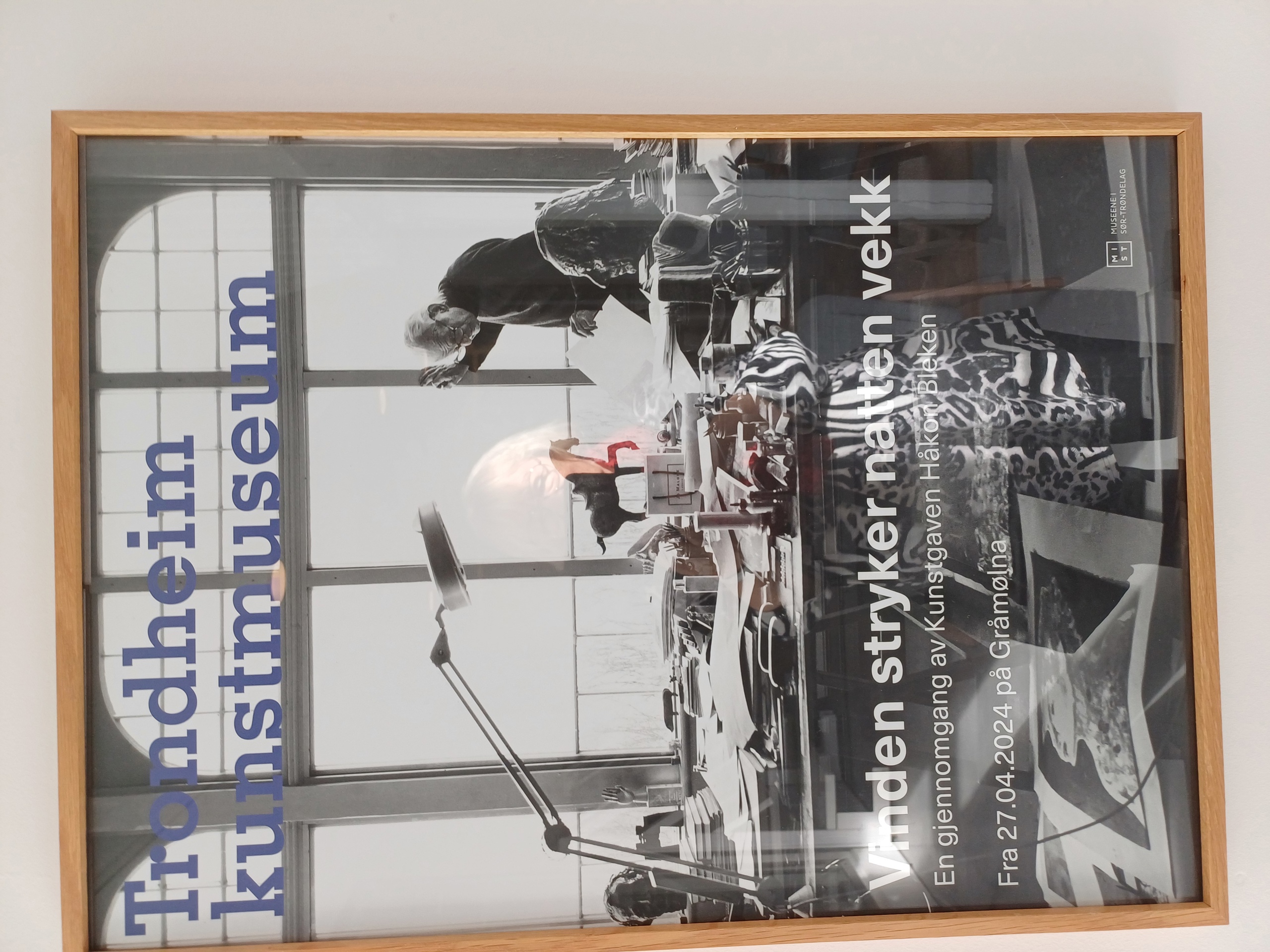 Blekenutstilling- Gråmølna 2025